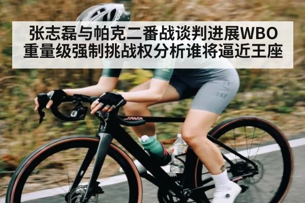 张志磊与帕克二番战谈判进展WBO重量级强制挑战权分析谁将逼近王座